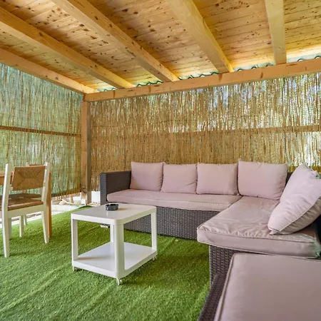 Pet Friendly In Apartament *