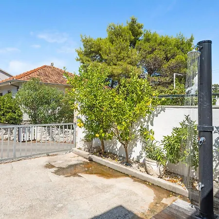 Pet Friendly In Apartment *