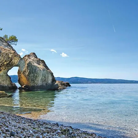 Pet Friendly In Apartment *