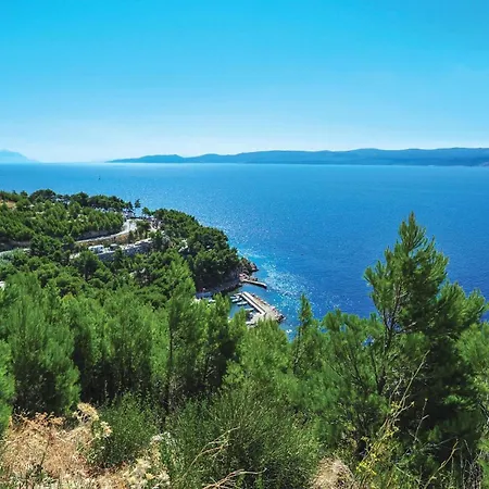 Pet Friendly In Rogoznica (Sibenik-Knin)