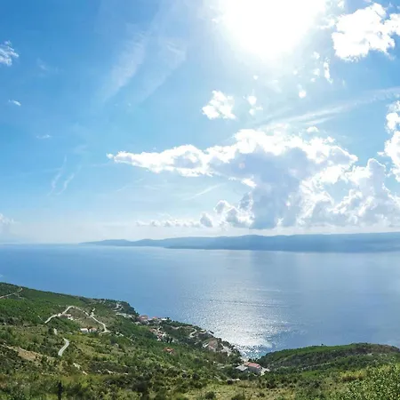 Pet Friendly In Apartment