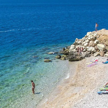 Apartment Pet Friendly In