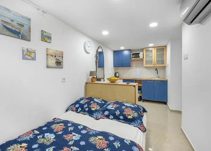 Pet Friendly In Apartamento *