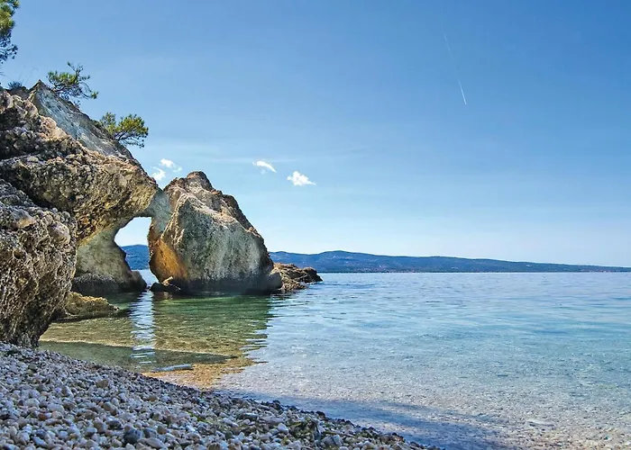 Pet Friendly In Apartamento *