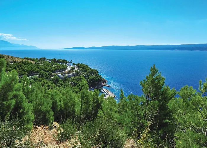 Pet Friendly In Rogoznica (Sibenik-Knin)