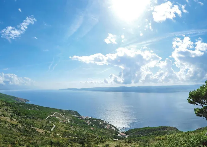 Pet Friendly In Apartamento